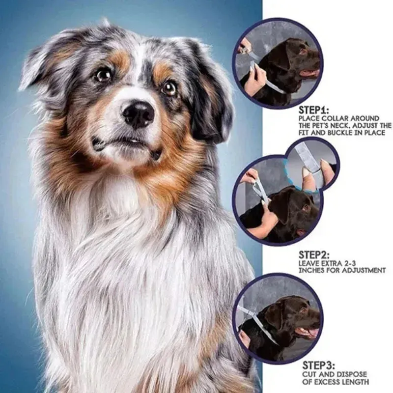Adjustable Anti-Flea & Tick Collar for Dogs & Cats - 8 Month Protection
