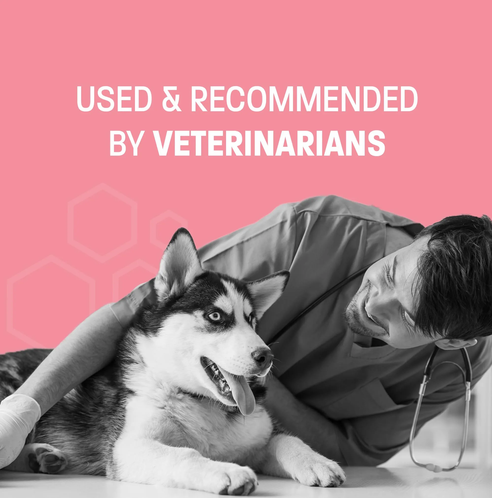 Advanced Probiotics Probiotic Soft Chew