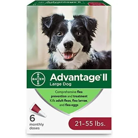 Advantage II For Large Dogs