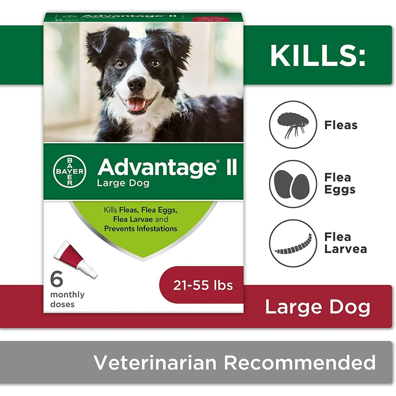 Advantage II For Large Dogs