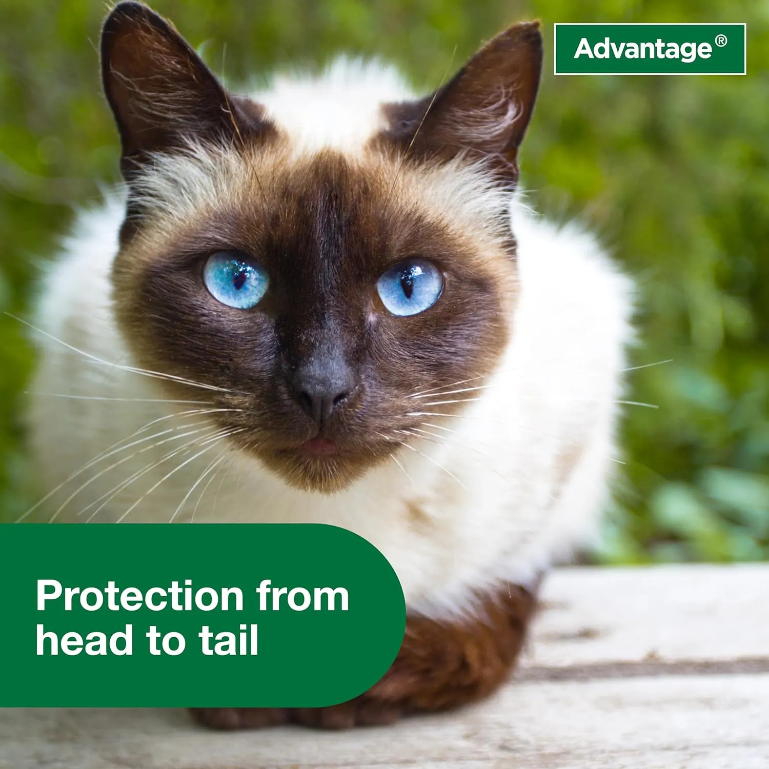 Advantage Spray Cat 8 Oz