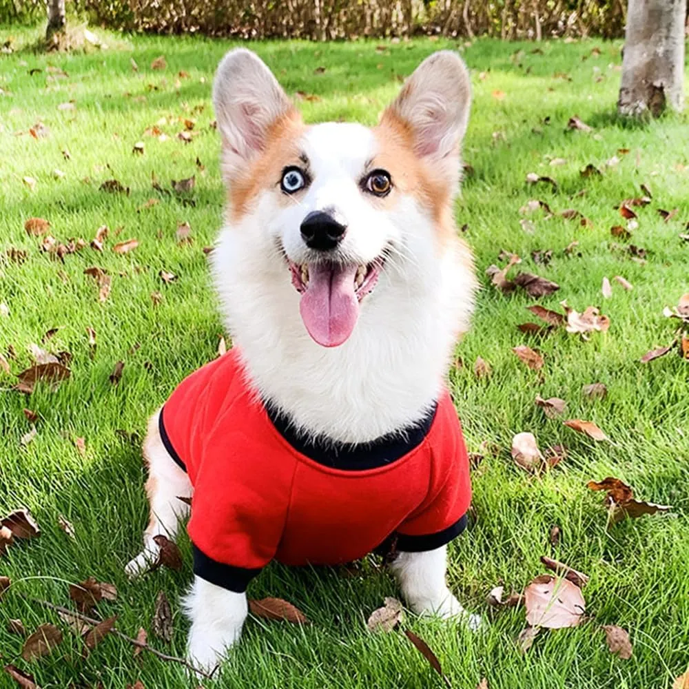 ANIAC Fall Dog Sweater for Medium Dog Girl Boy Fleece Dog Shirt with Long Sleeves Puppy Sweatshirt Red Dog Hoodies Warm Dog Clothes for Medium Dog 2-44 LB(Red, X-Large)