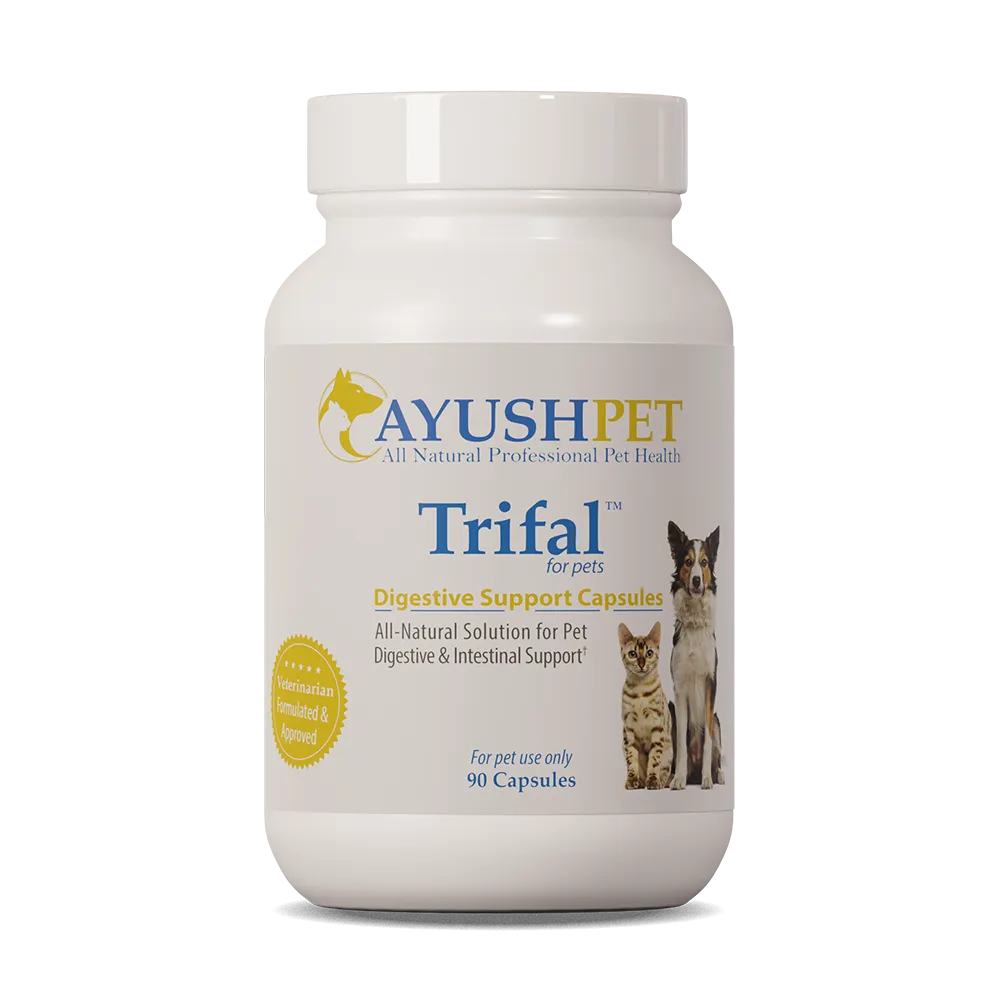 AYUSH TRIFAL for digestive support - 90 capsules