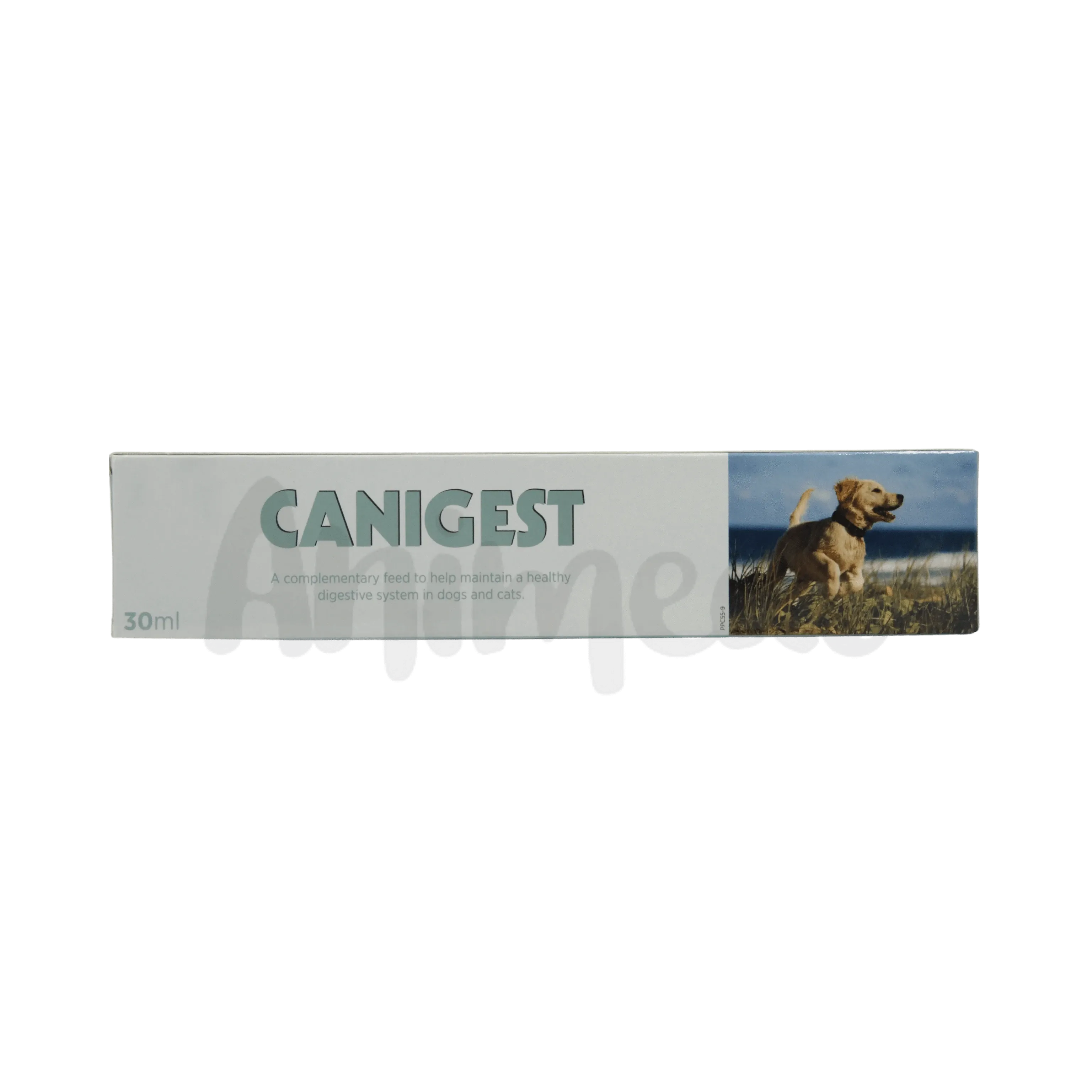 CANIGEST PASTE