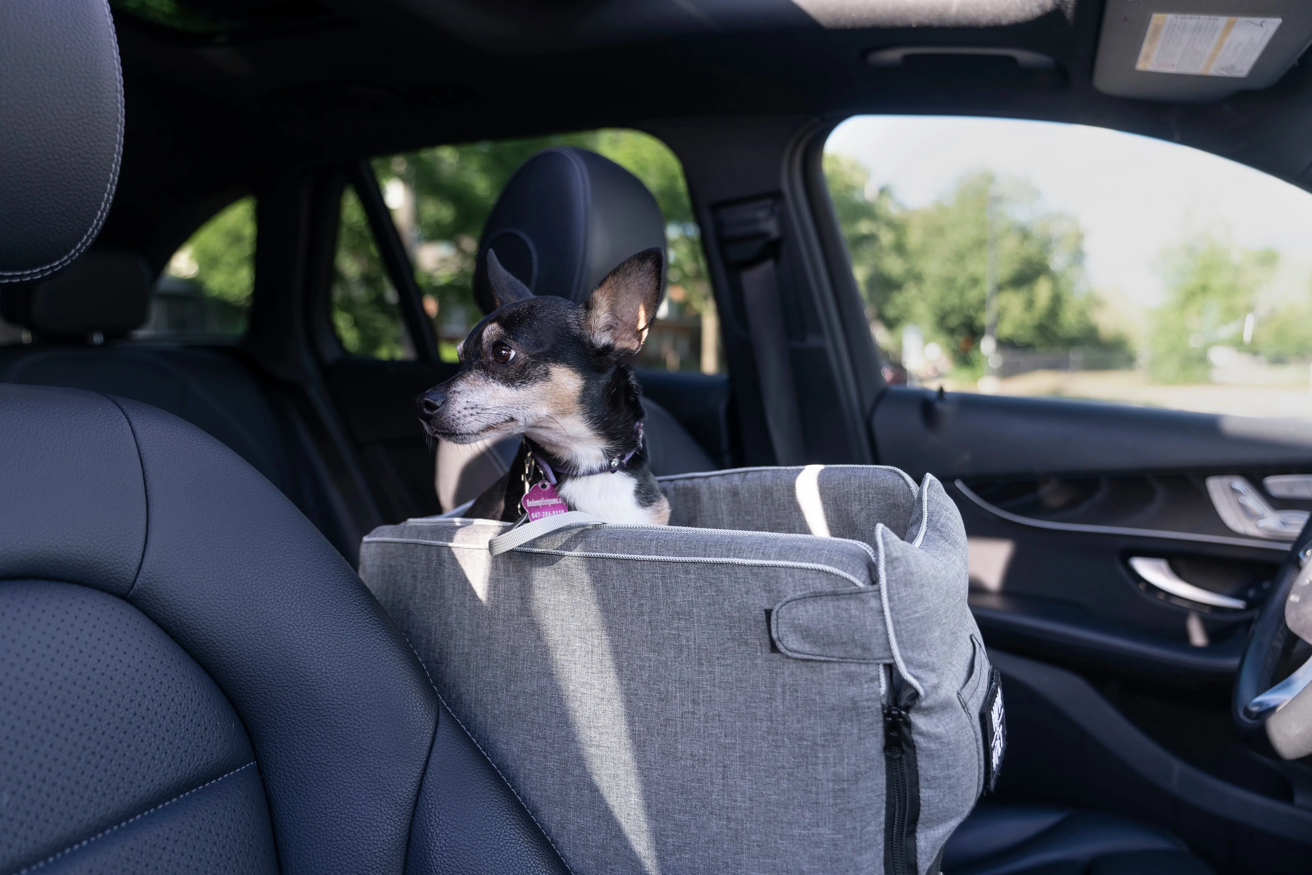 Console Pet Car Seat - Type B