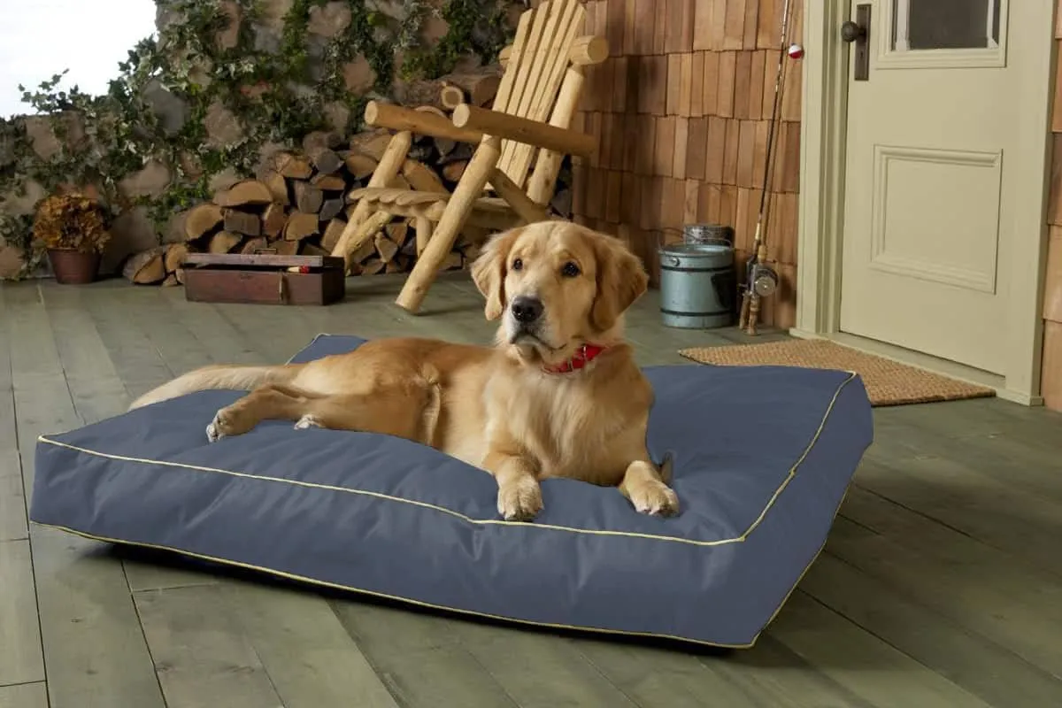 Dog Bed Cover,Waterproof Tough Plastic DIY Pet Bed Cover,Non Stick Hair Easy to Clean Rectangular Fillable Dog Bed Covers with Zipper(Dark Grey,54" L x 44" W x 4" Th,Cover Only)