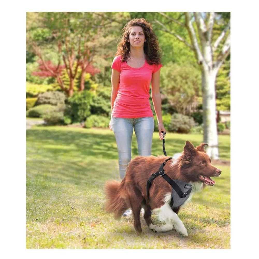 Dog Harness 2 in 1 Combo - Car Travel Rides   Walks - No Pull Leash Seat Belt