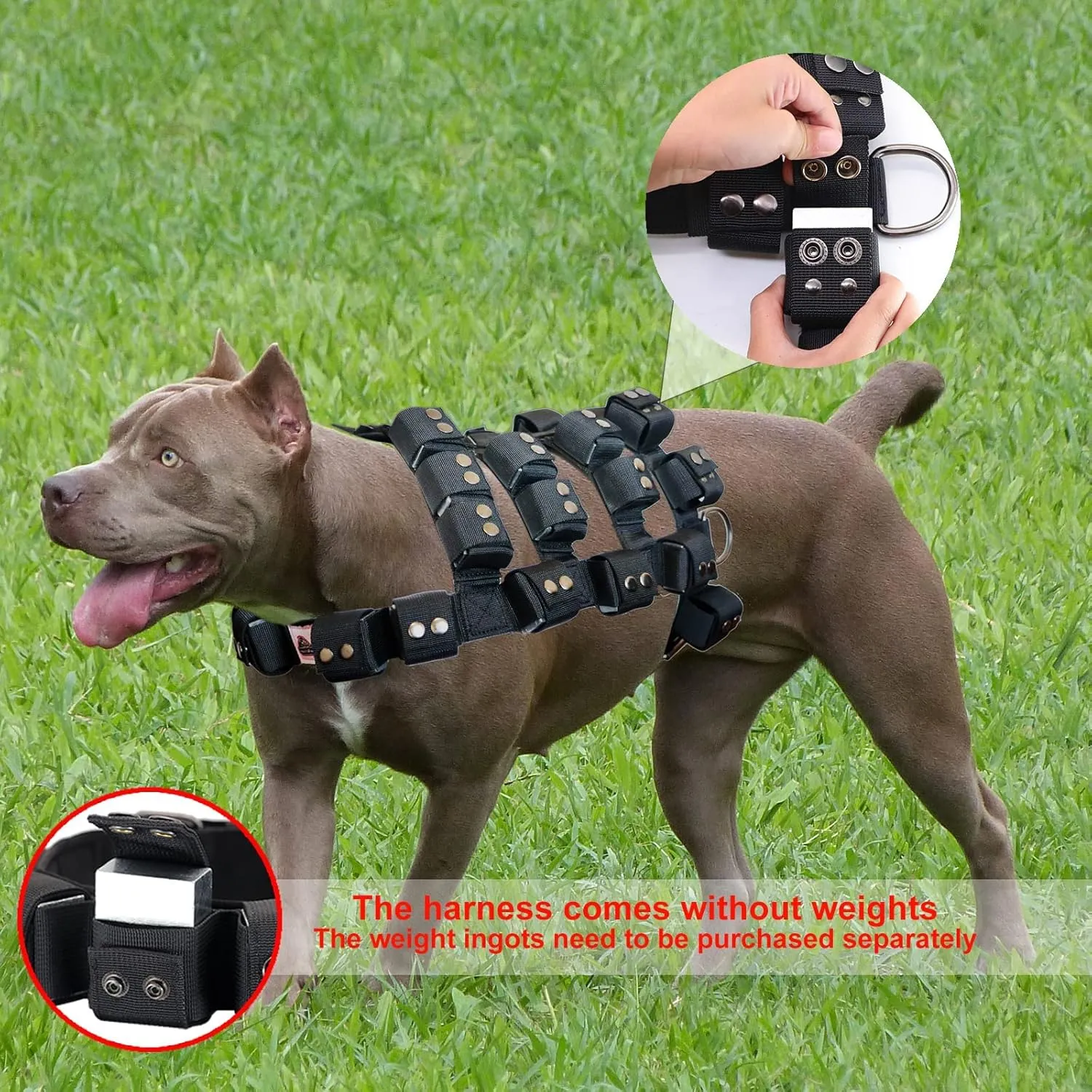 Dog Harness for Small Medium Large Dogs No Pull, Dog Weighted Vest, Tactical Dog Harness for Pit Bulls with Pockets (Adjustable Weight) - Weight Loss, Exercise, Walking, Muscle
