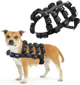 Dog Harness for Small Medium Large Dogs No Pull, Dog Weighted Vest, Tactical Dog Harness for Pit Bulls with Pockets (Adjustable Weight) - Weight Loss, Exercise, Walking, Muscle