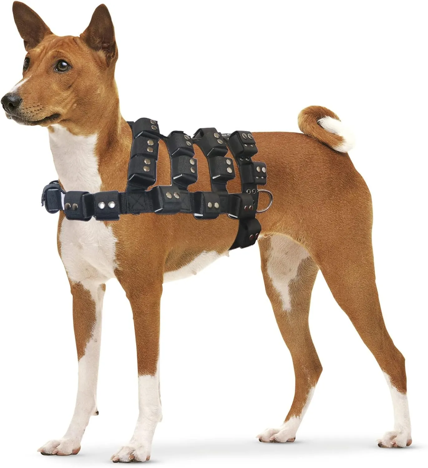 Dog Harness for Small Medium Large Dogs No Pull, Dog Weighted Vest, Tactical Dog Harness for Pit Bulls with Pockets (Adjustable Weight) - Weight Loss, Exercise, Walking, Muscle
