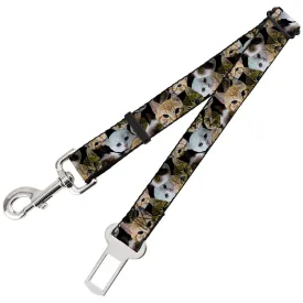 Dog Safety Seatbelt for Cars - Kitten Faces Scattered Black