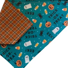 Eek! - Halloween Collar Slip On Bandana