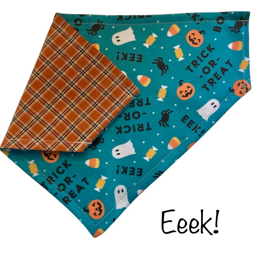 Eek! - Halloween Collar Slip On Bandana
