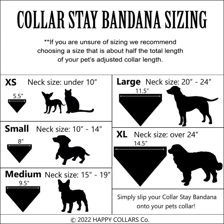 Eek! - Halloween Collar Slip On Bandana