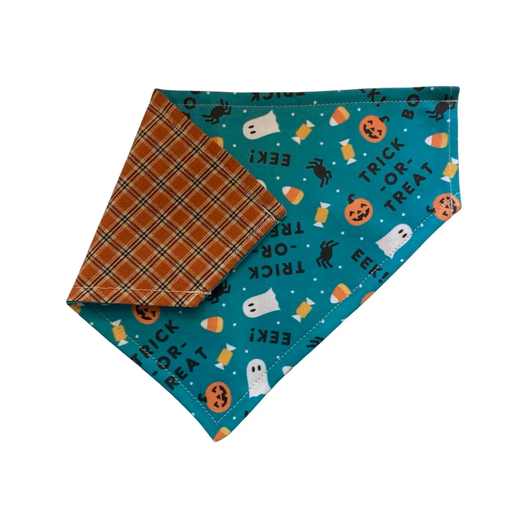 Eek! - Halloween Collar Slip On Bandana