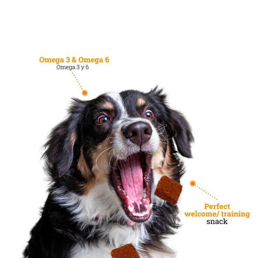 Kanu Pet Soft & Chewy Brownie Dog Treats, No Chocolate, With Omega 3 & 6, Probiotics, Prebiotics