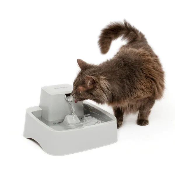 PetSafe Water Fountain Drinkwell 1/2 Gallon for Dogs & Cats
