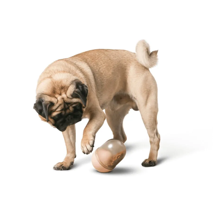 Pidan Pet Dispenser Toy Capsule