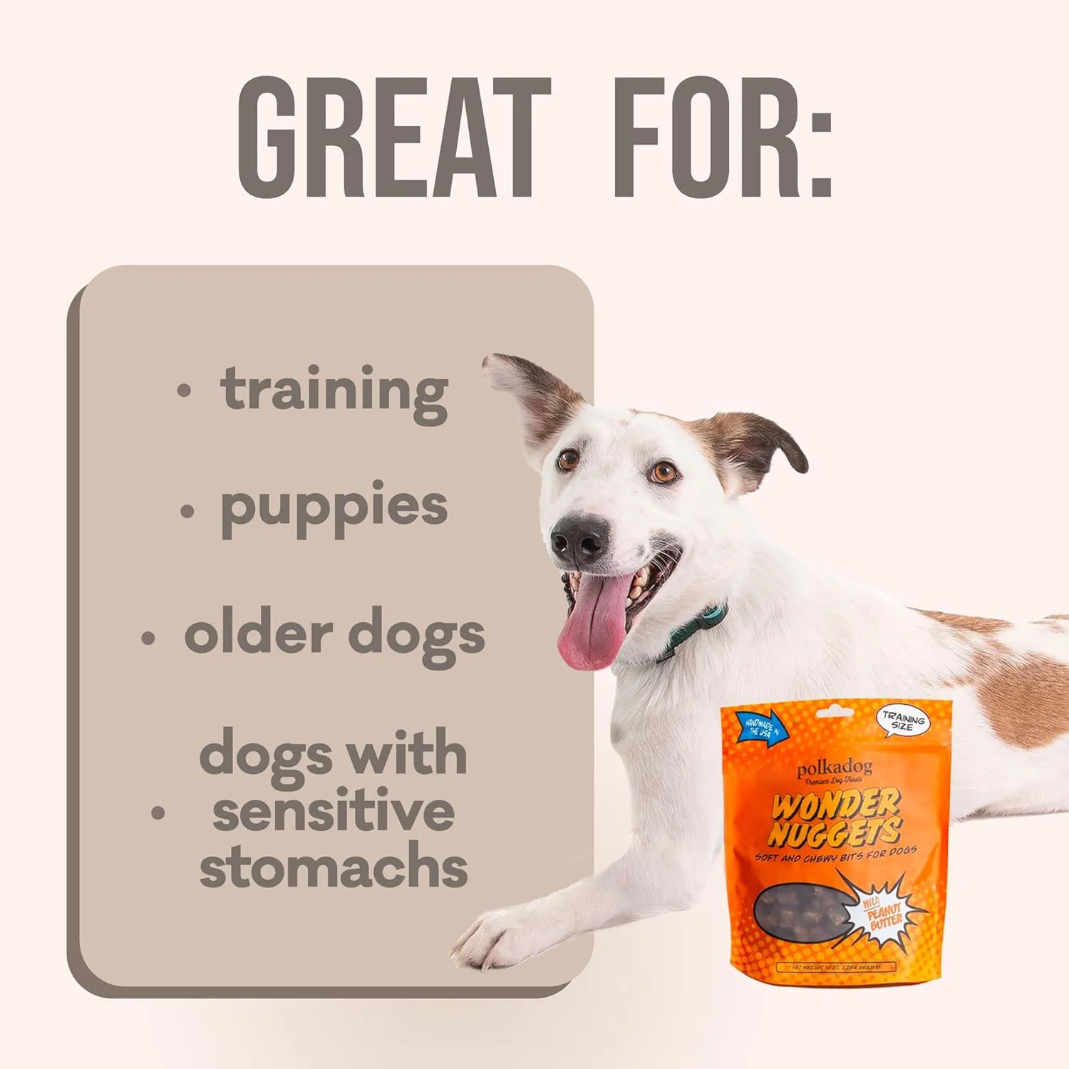 Polkadog Peanut Butter Wonder Nuggets Dog Treats  Vegan, All-Natural Pet Training Treat for Dogs  Healthy, Handmade Puppy Snacks  Bite-Sized, Soft, Chewy Treats for Pets  10 oz