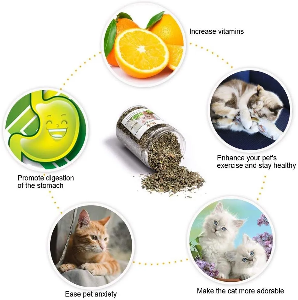 Premium Natural Catnip, Selected Fresh Catnip Leaves & Bud (3OZ)