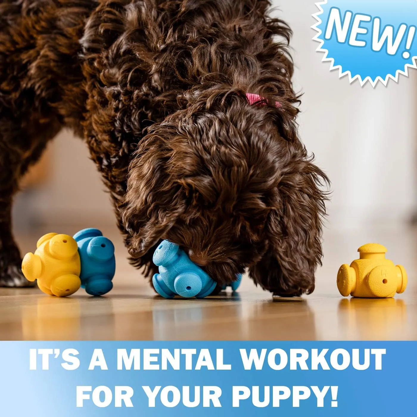 Puppy Puzzle Toys for Boredom
