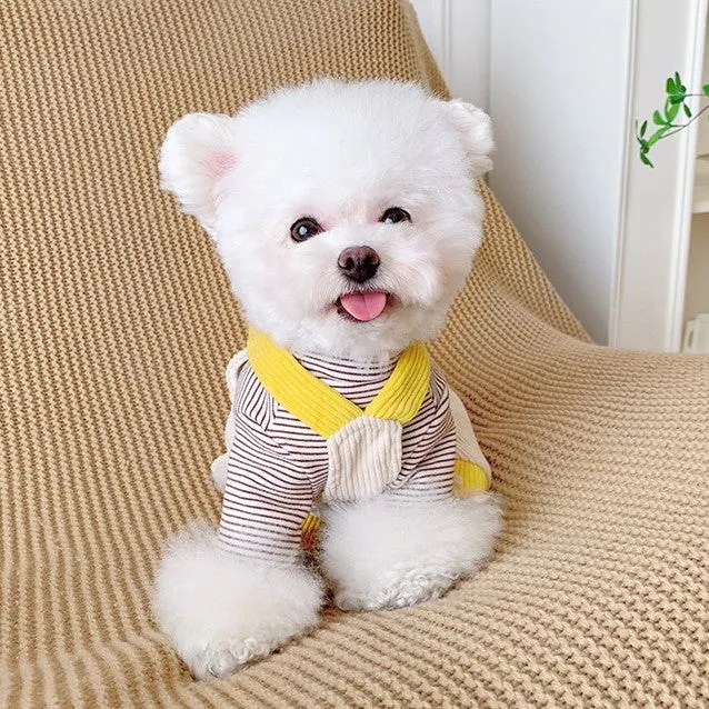 Rainbow Pet Jumpsuit and Stripes Sweatshirt