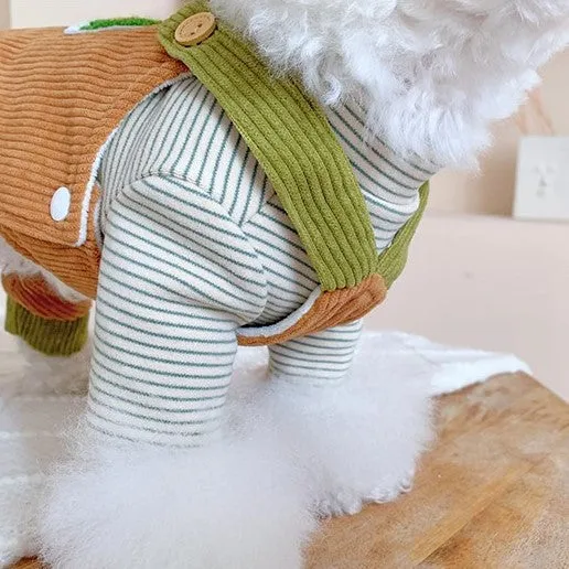 Rainbow Pet Jumpsuit and Stripes Sweatshirt