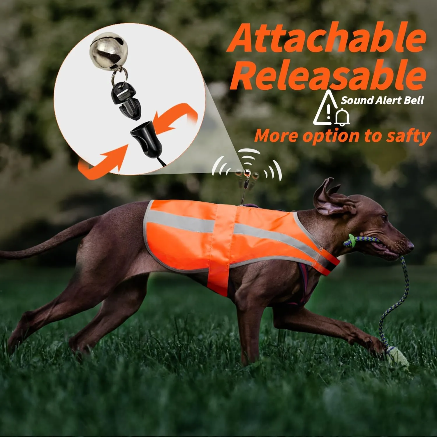 Reflective Dog Vest for Medium Large Breeds, High Visibility Dog Safety Vest Harness with Removable Bell Keep Safe from Hunting, Training & Cars Accidents