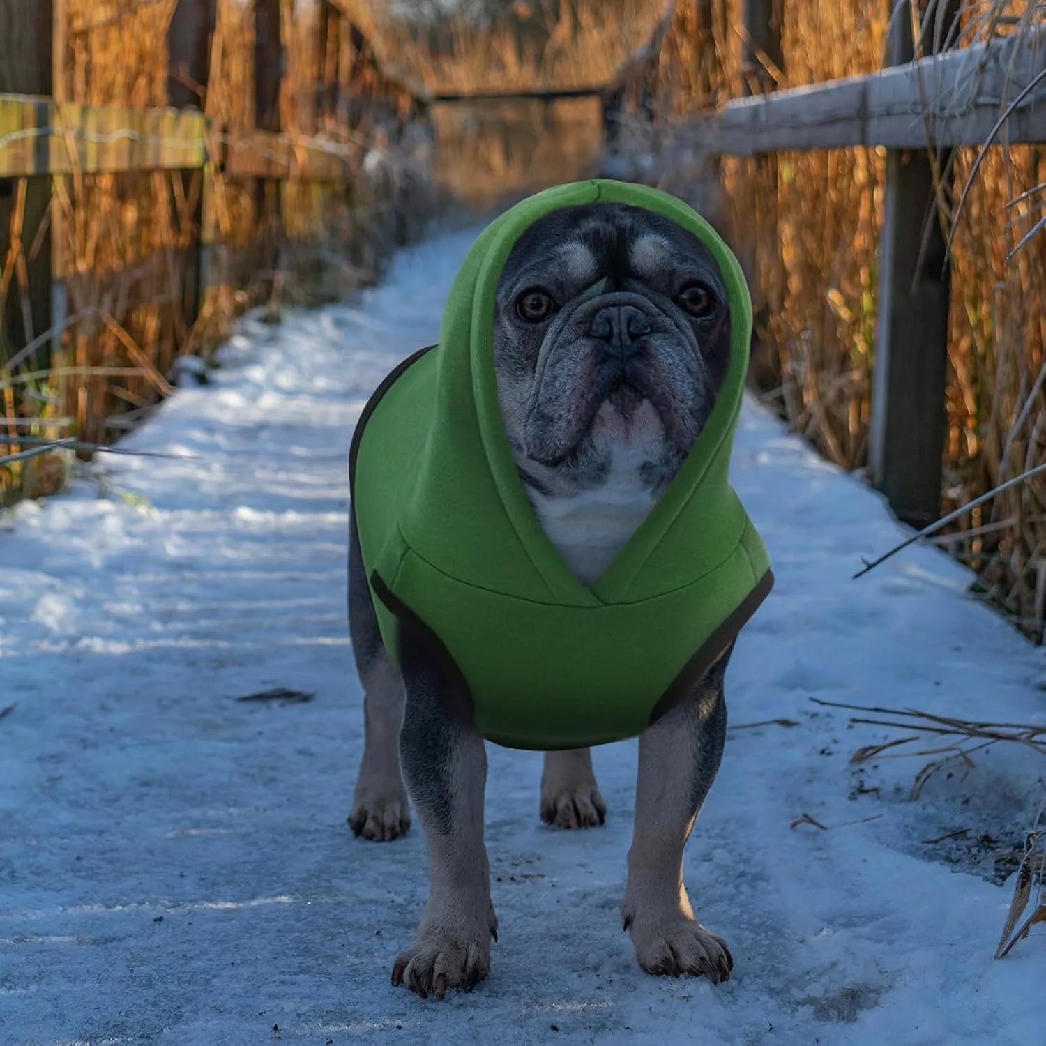ROZKITCH Dog Hoodie, Winter Dog Fleece Sweater, Warm Pet Sweatshirt, Soft Christmas Outfit, Puppy Vest with Leash Hole, Green 2XL