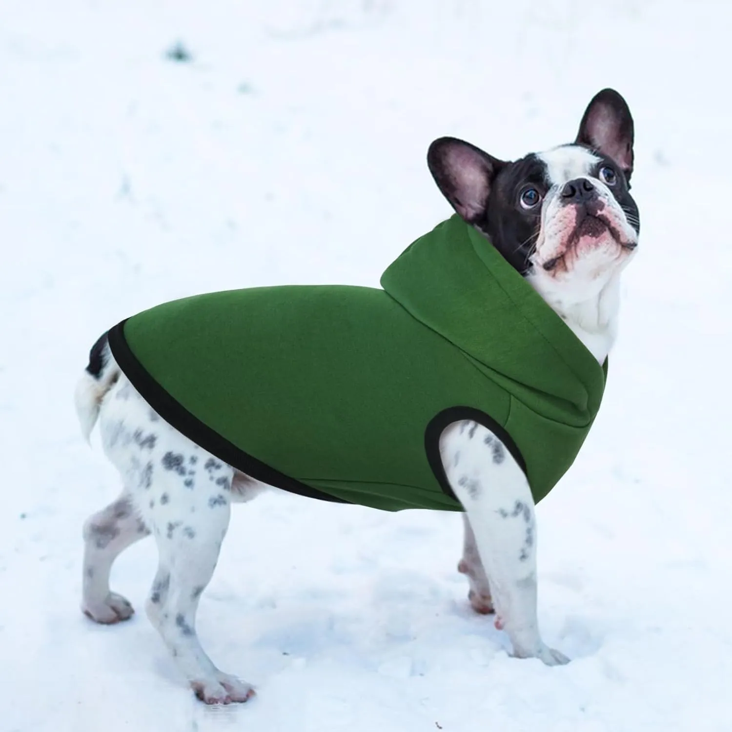 ROZKITCH Dog Hoodie, Winter Dog Fleece Sweater, Warm Pet Sweatshirt, Soft Christmas Outfit, Puppy Vest with Leash Hole, Green 2XL