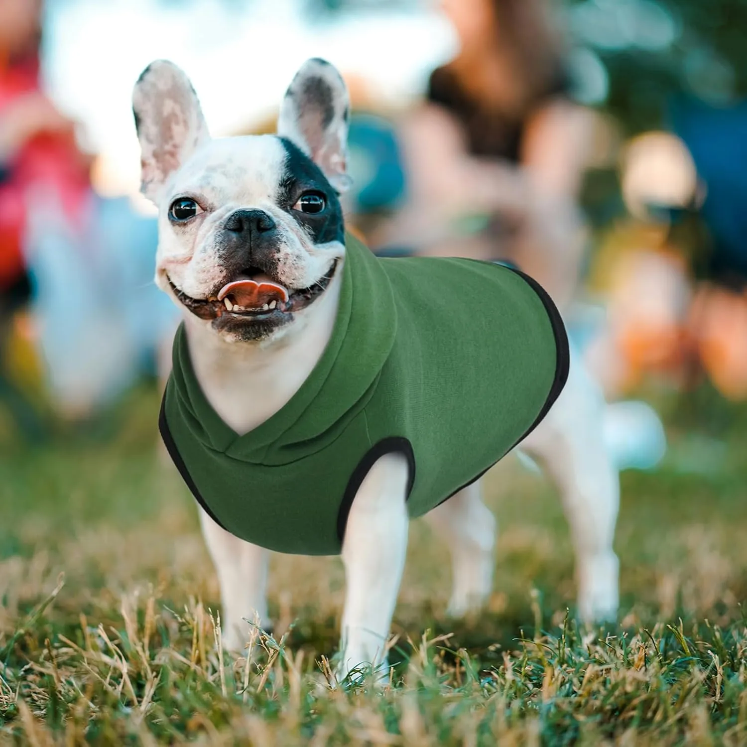 ROZKITCH Dog Hoodie, Winter Dog Fleece Sweater, Warm Pet Sweatshirt, Soft Christmas Outfit, Puppy Vest with Leash Hole, Green 2XL