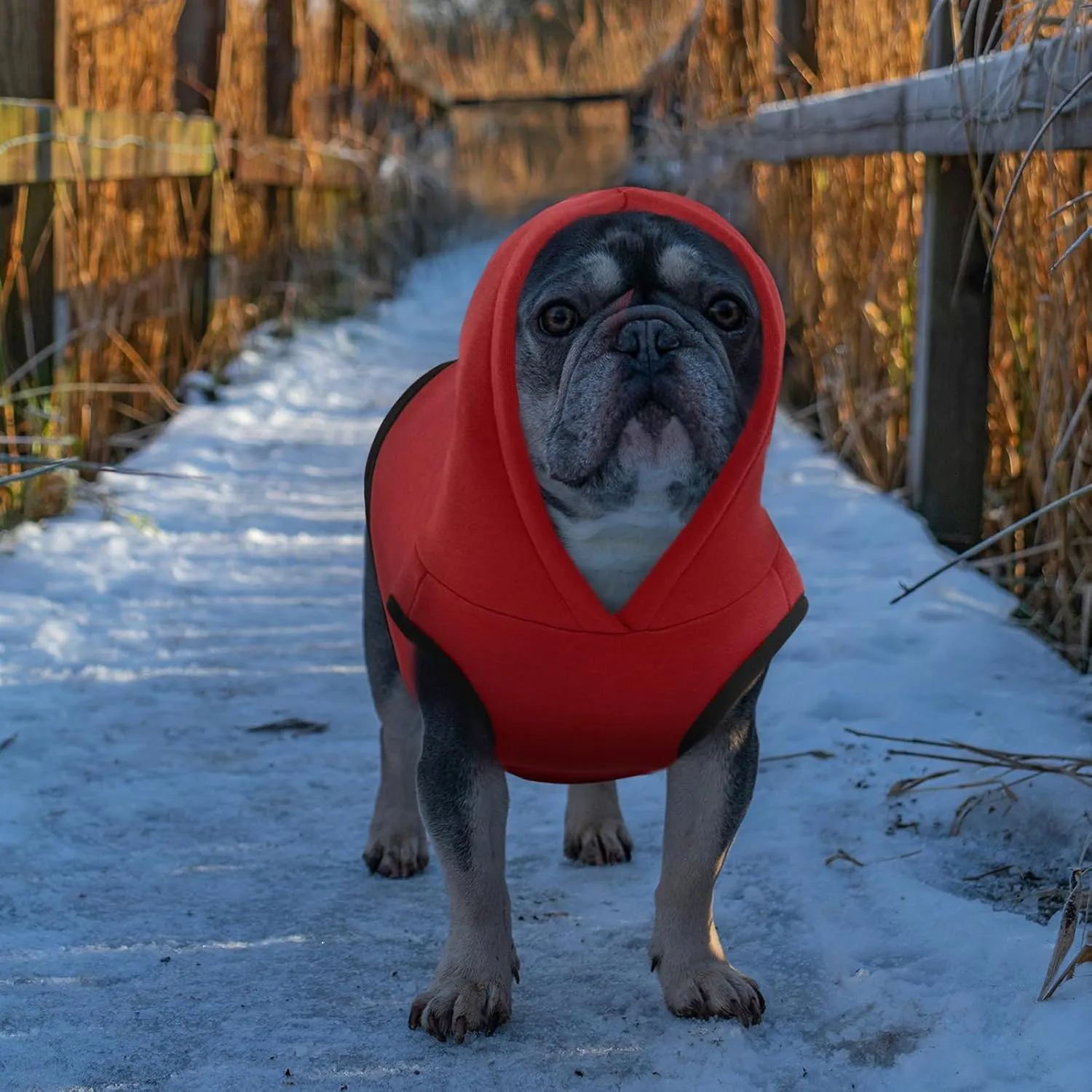 ROZKITCH Dog Hoodie, Winter Fleece Sweater, Soft Warm Pet Pullover, Red 2XL