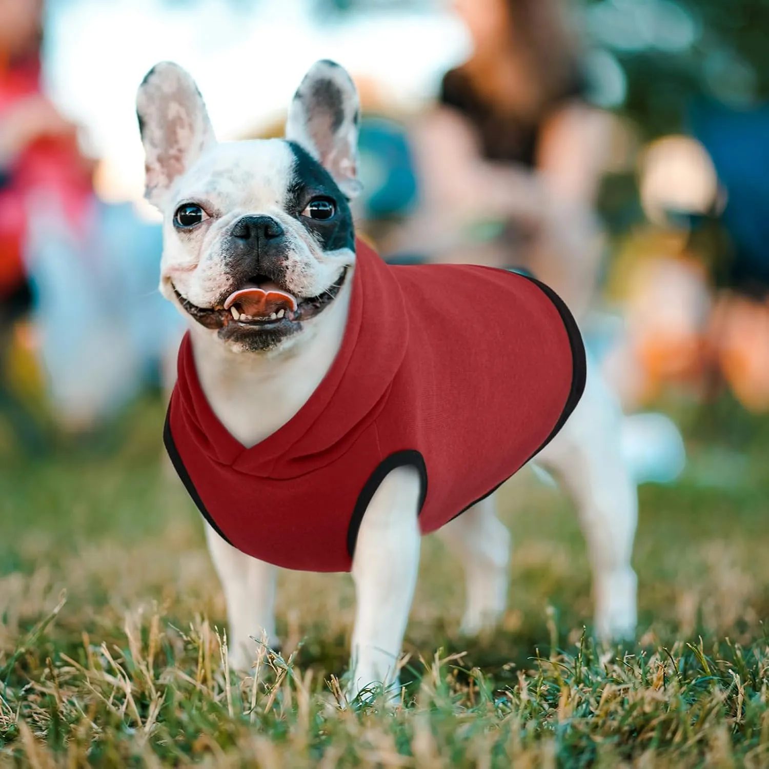 ROZKITCH Dog Hoodie, Winter Fleece Sweater, Soft Warm Pet Pullover, Red 2XL