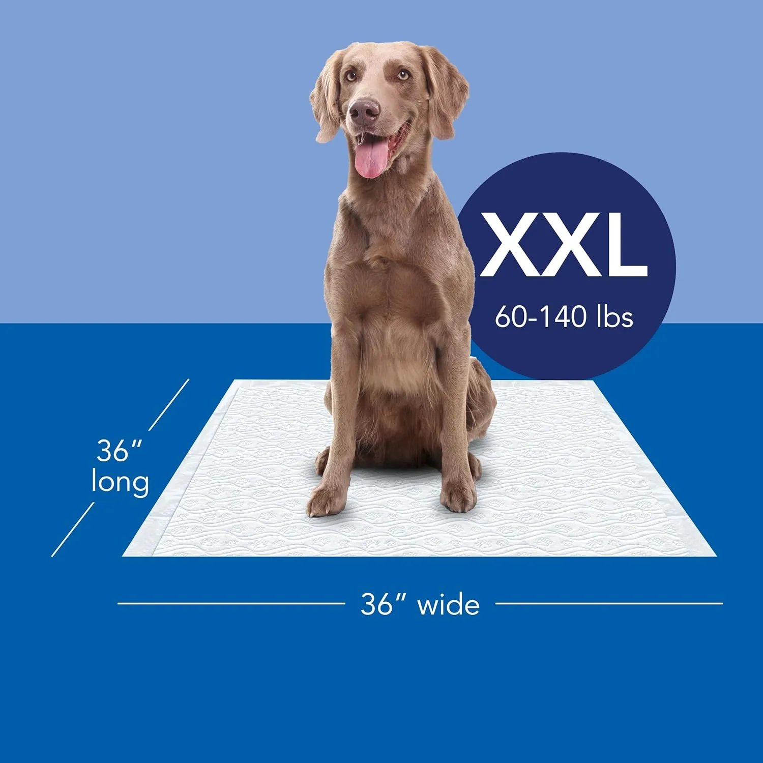 Scott Pet Guard Dog Pads - Extra Large Dog Training Pee Pads - Up to 12 Hour Absorbent Odor Control - Disposable - XXL - 36" x 36" - 40 Pack