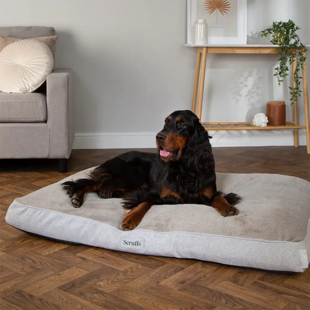 Scruffs Harvard Memory Foam Mattress
