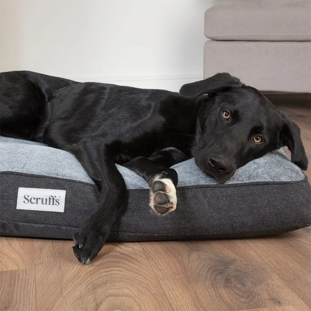 Scruffs Harvard Memory Foam Mattress