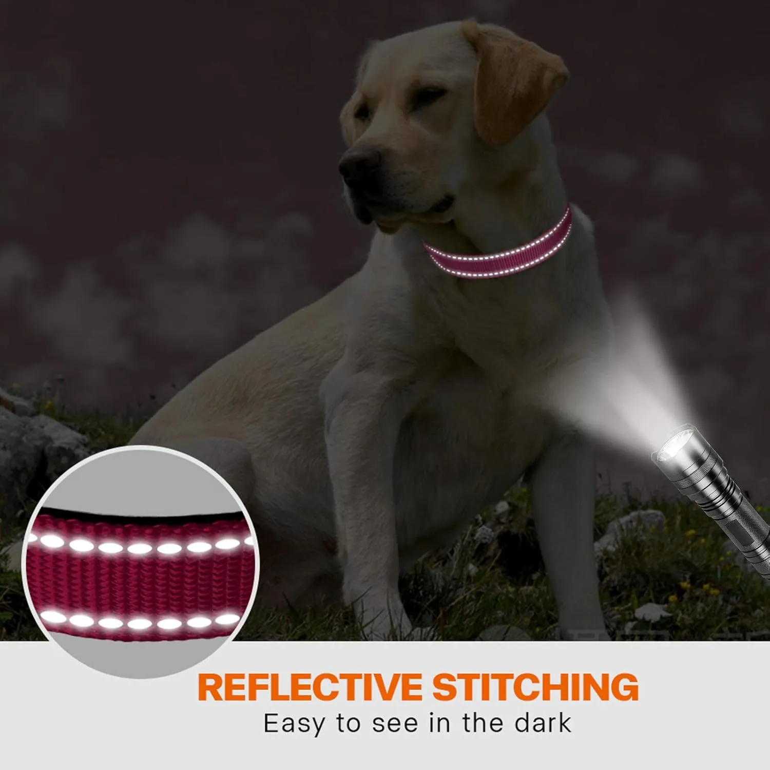 Taglory Reflective Dog Collar with Safety Locking Buckle, Adjustable Nylon Pet Collars for Large Dogs Female Male, Hot Pink, L