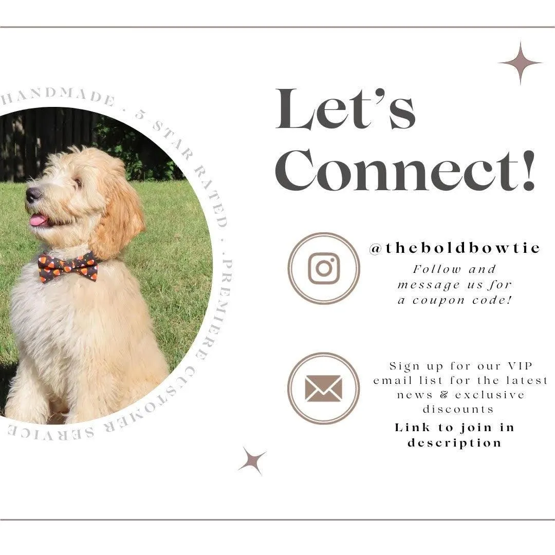 Thanksgiving Dog Bow Tie or Cat Bow Tie Gift Set