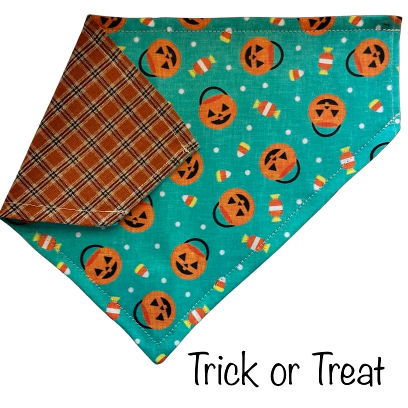 Trick or Treat- Halloween Collar Slip On Bandana