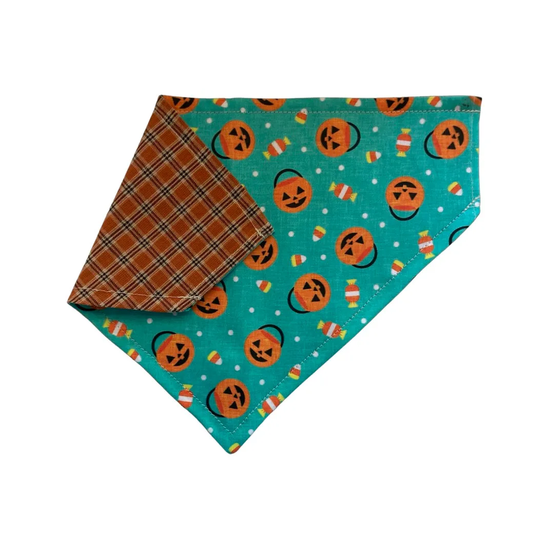 Trick or Treat- Halloween Collar Slip On Bandana