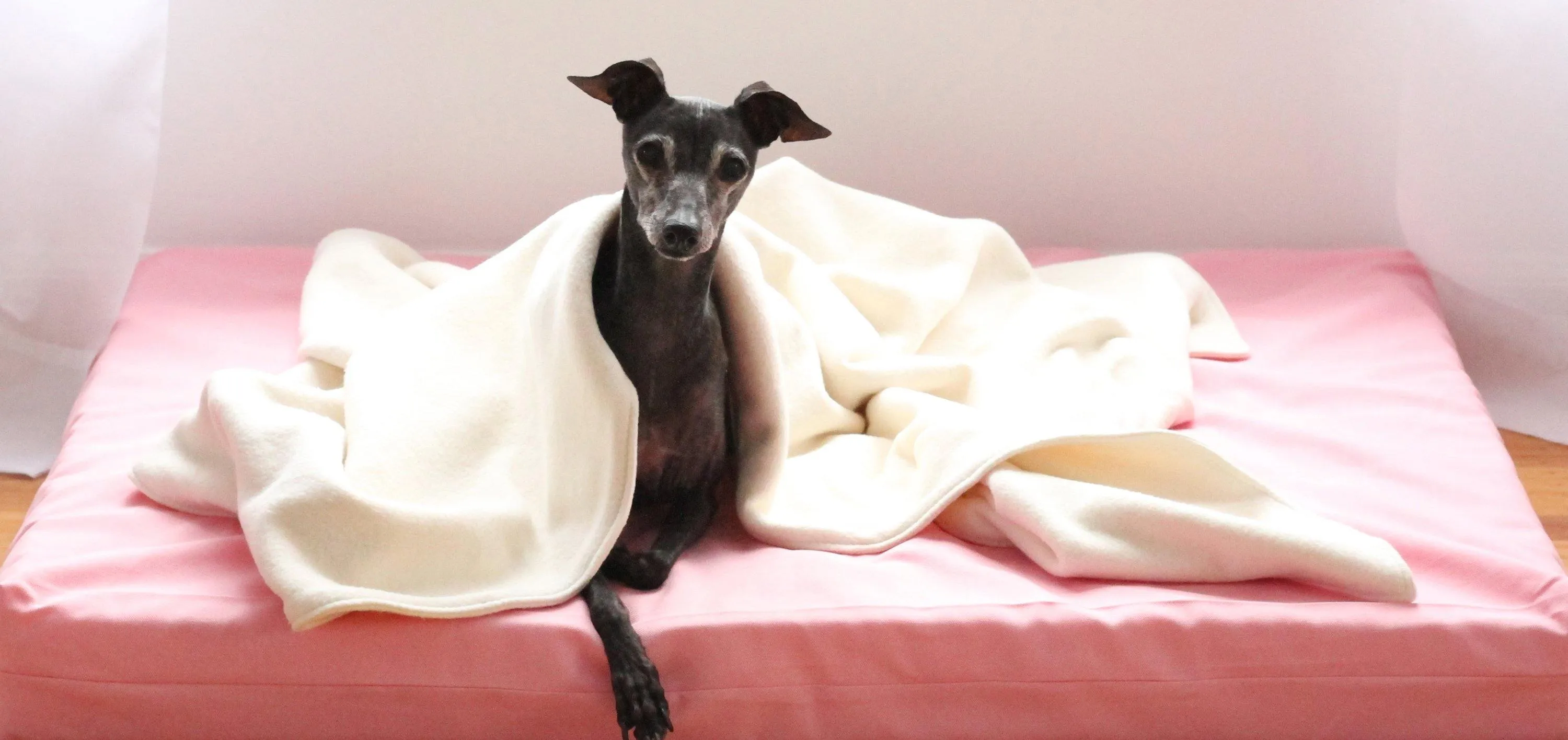 Vita Orthopedic Dog Bed, Pink