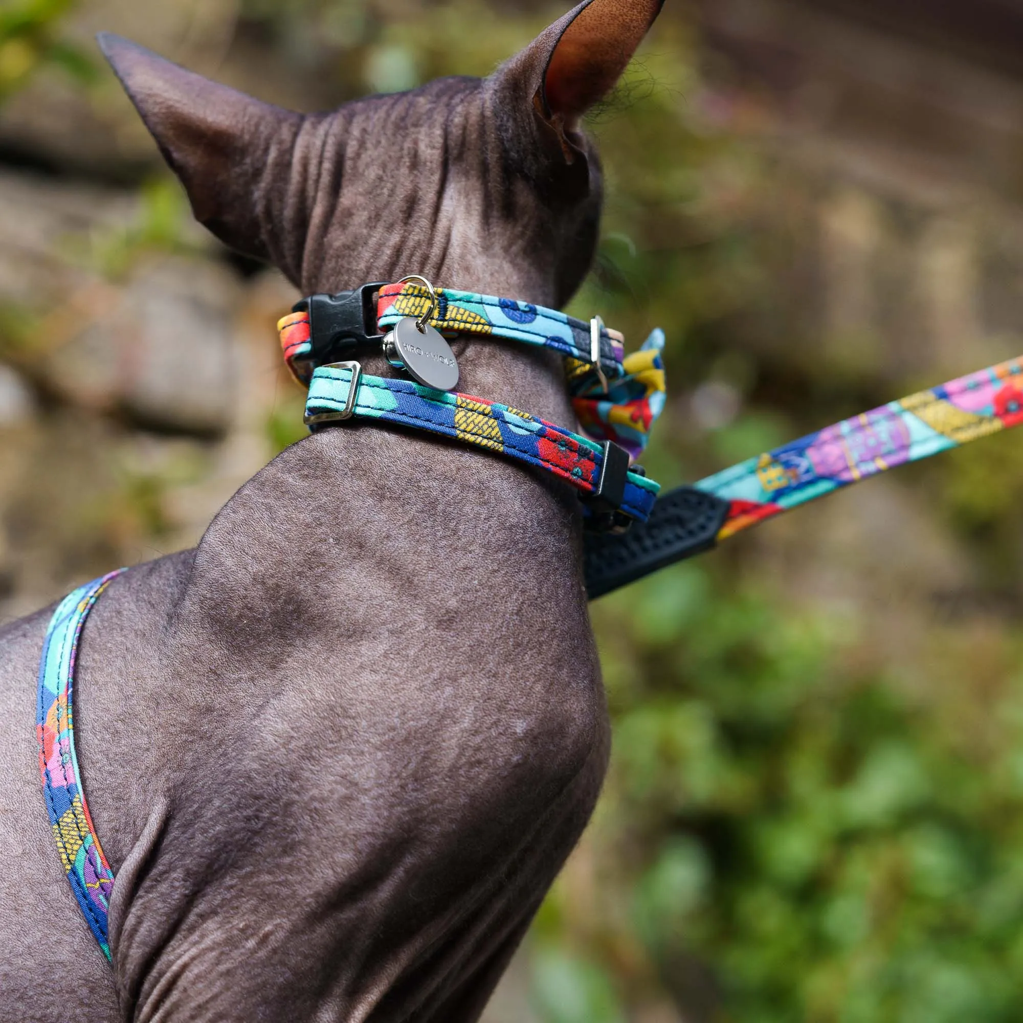 Wizard of Dog Breakaway Cat Collar
